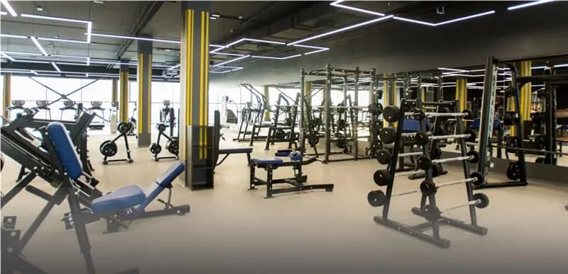 Cult.Fit: Achieving Cost-Centre Visibility and Faster Expense Control with Zaggle