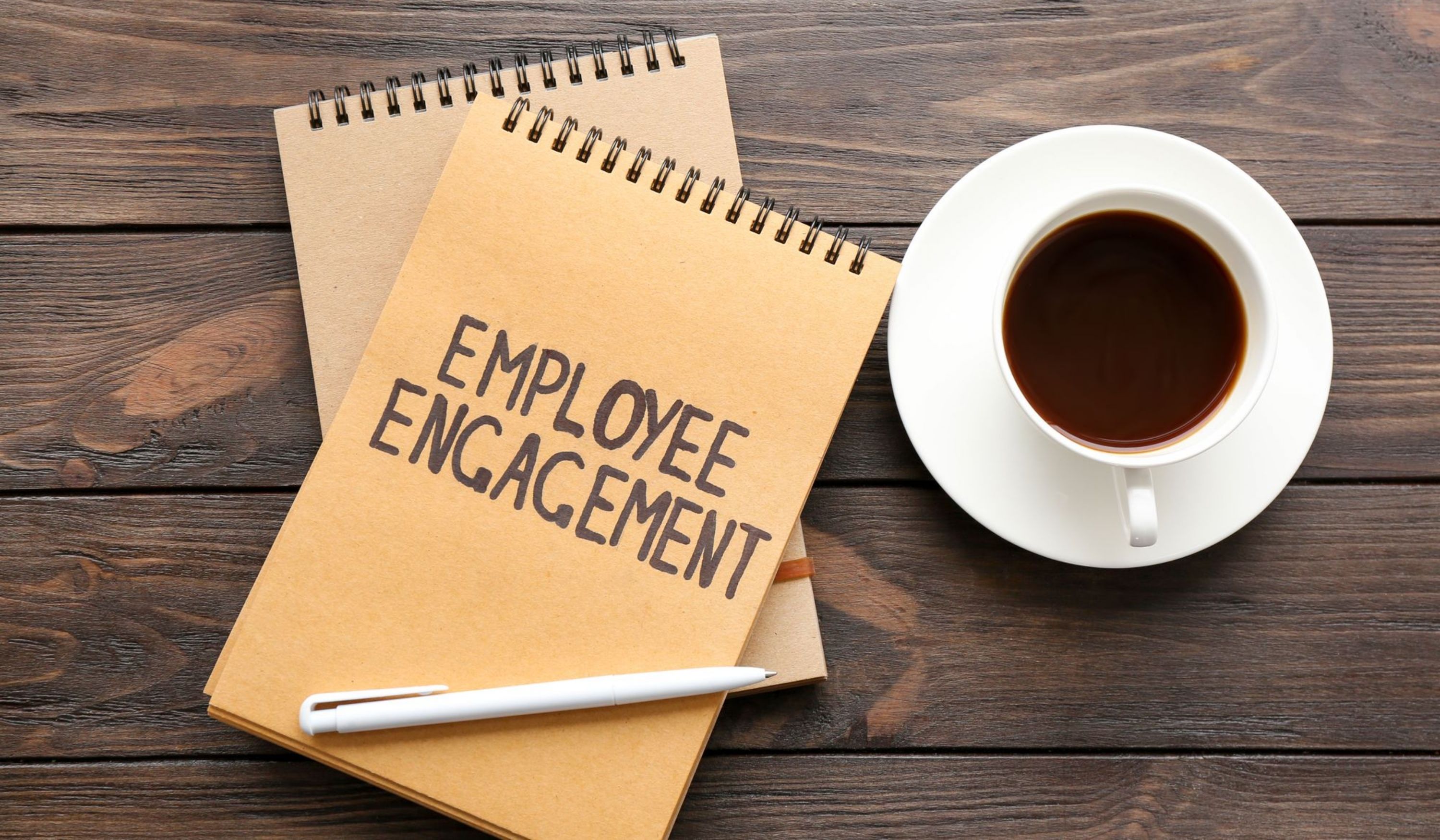 Why Employee Engagement is a must have for any Organization