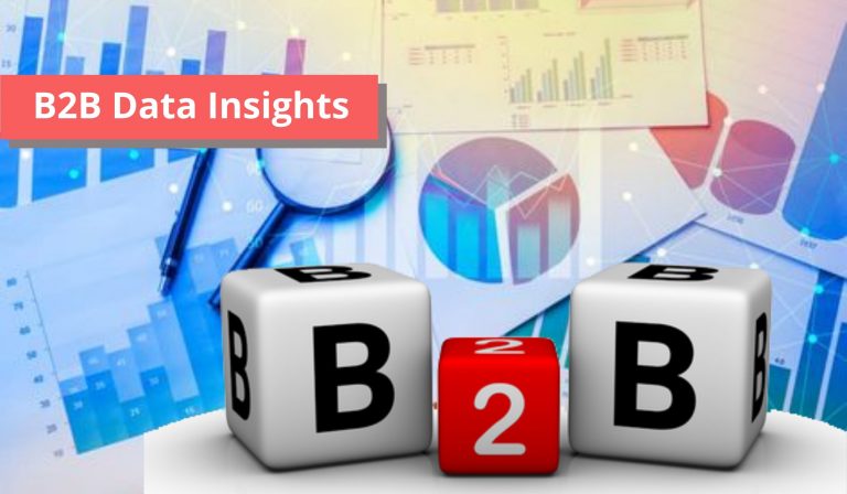 B2B Data Insights